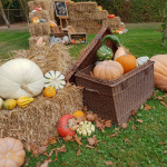 Le Jardin de l'Automne du Château de Cheverny