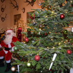 Noël 2019 au Château de Cheverny