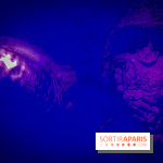 Peur sur le Parc 2019, Halloween au Parc Astérix les photos