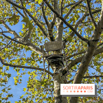 Exposition FIAC au Jardin des Tuileries 2019