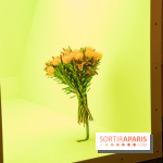 Futur, Ancien, Fugitif, l'exposition au Palais de Tokyo - nos photos