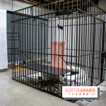 Futur, Ancien, Fugitif, l'exposition au Palais de Tokyo - nos photos