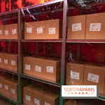 Futur, Ancien, Fugitif, l'exposition au Palais de Tokyo - nos photos