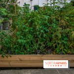 L'Hôtel des Grands Boulevards inaugure son potager suspendu