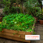 L'Hôtel des Grands Boulevards inaugure son potager suspendu