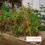 L'Hôtel des Grands Boulevards inaugure son potager suspendu