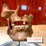 Je mange donc je suis au Musée de l'Homme