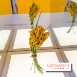 Je mange donc je suis au Musée de l'Homme