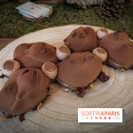 Les Bûches de Noël 2019 de Yann Couvreur