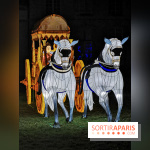 Thoiry Lumières Sauvages 2019 - photos 