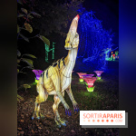 Thoiry Lumières Sauvages 2019 - photos 