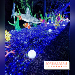 Thoiry Lumières Sauvages 2019 - photos 