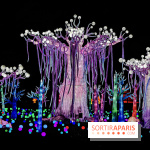 Thoiry Lumières Sauvages 2019 - photos 