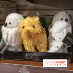 Wizarding World, la boutique officielle Harry Potter au Village JouéClub de Paris