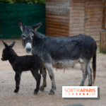 Campanile Val de France : nos photos