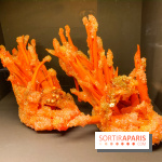 Marche et Démarche au Musée des Arts Décoratifs