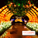 Océan en voie d'illumination : nos photos