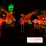 Océan en voie d'illumination : nos photos