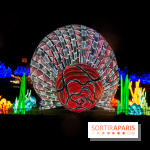 Océan en voie d'illumination : nos photos