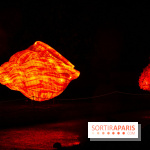 Océan en voie d'illumination : nos photos