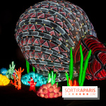 Océan en voie d'illumination : nos photos