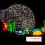 Océan en voie d'illumination : nos photos