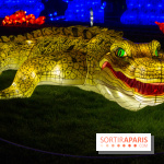 Océan en voie d'illumination : nos photos