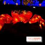 Océan en voie d'illumination : nos photos