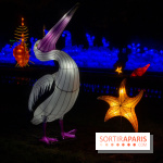 Océan en voie d'illumination : nos photos