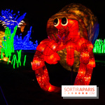 Océan en voie d'illumination : nos photos