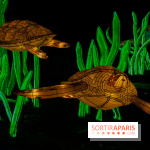 Océan en voie d'illumination : nos photos