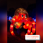 Océan en voie d'illumination : nos photos