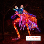 Océan en voie d'illumination : nos photos