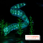 Océan en voie d'illumination : nos photos