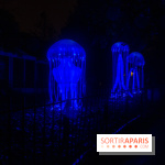 Océan en voie d'illumination : nos photos