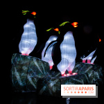 Océan en voie d'illumination : nos photos