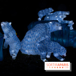 Océan en voie d'illumination : nos photos