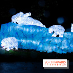 Océan en voie d'illumination : nos photos