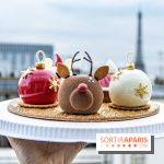La bûche de Noel de Candy Paradis 2019