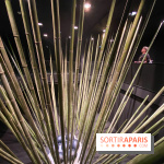 Black Bamboo de Nils-Udo à la Fondation EDF