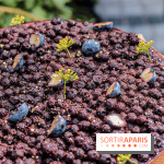 Garden party au T'Time Jardin Privé, les pâtisseries de Quentin Lechat