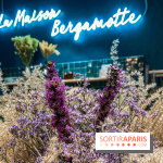 Bergamotte Kinfolk, la nouvelle collection de fleurs séchées naturellement visuel