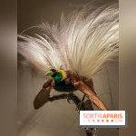 Exposition Christian Louboutin, l’Exhibitionniste au Palais de la Porte Dorée - photos 