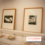 A la recherche des œuvres disparues, l'exposition à l'Institut Giacometti : nos photos