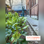 Le Musée Bourdelle et ses jardins