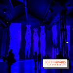 Yves Klein, l’Infini Bleu -  l’album photo