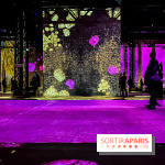 Yves Klein, l’Infini Bleu -  l’album photo