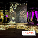 Yves Klein, l’Infini Bleu -  l’album photo