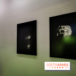 Le Cabaret du Néant, l'exposition au Château de Rentilly