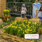 Une Jonquille pour Curie au Panthéon